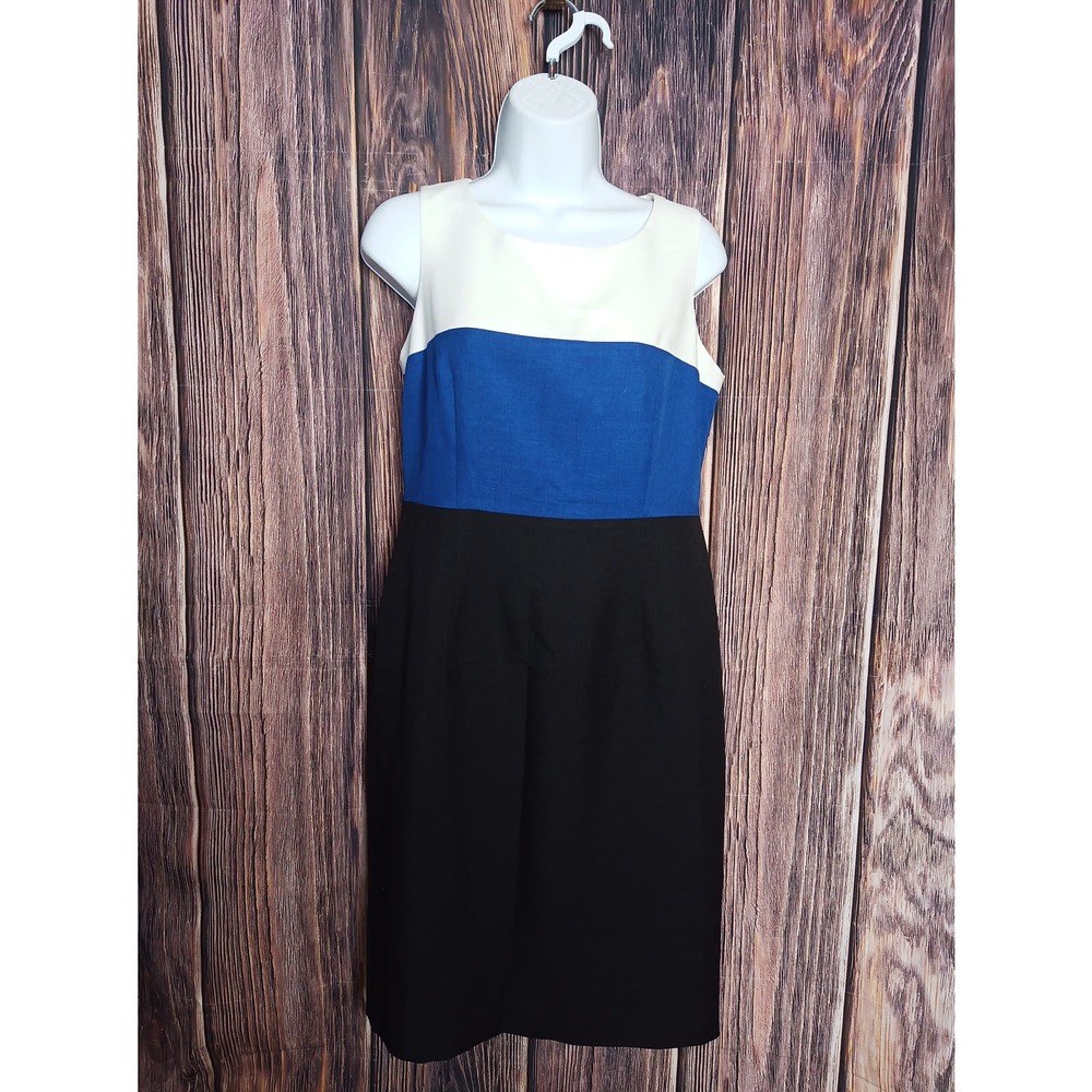 Black Label Color Block Sleeveless‎ Shift Dress Size 4